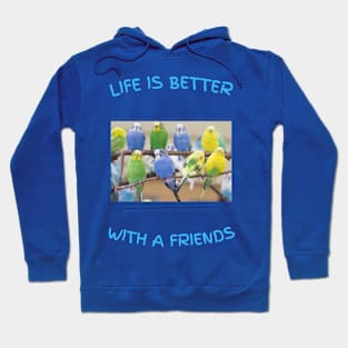 Life is better Parakeet friends Hoodie